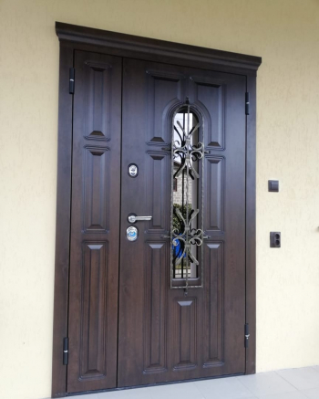 Фото двери с ковкой №47